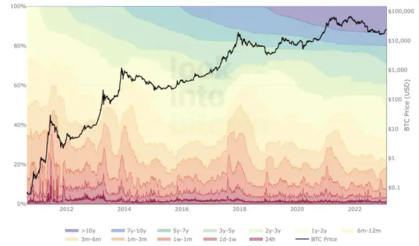 Bitcoin HODL Waves Chart