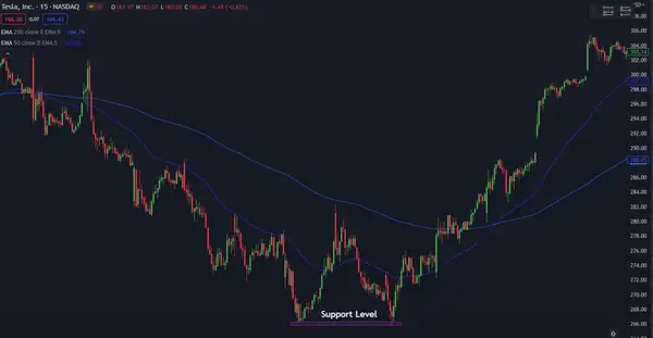 Tesla Support Level
