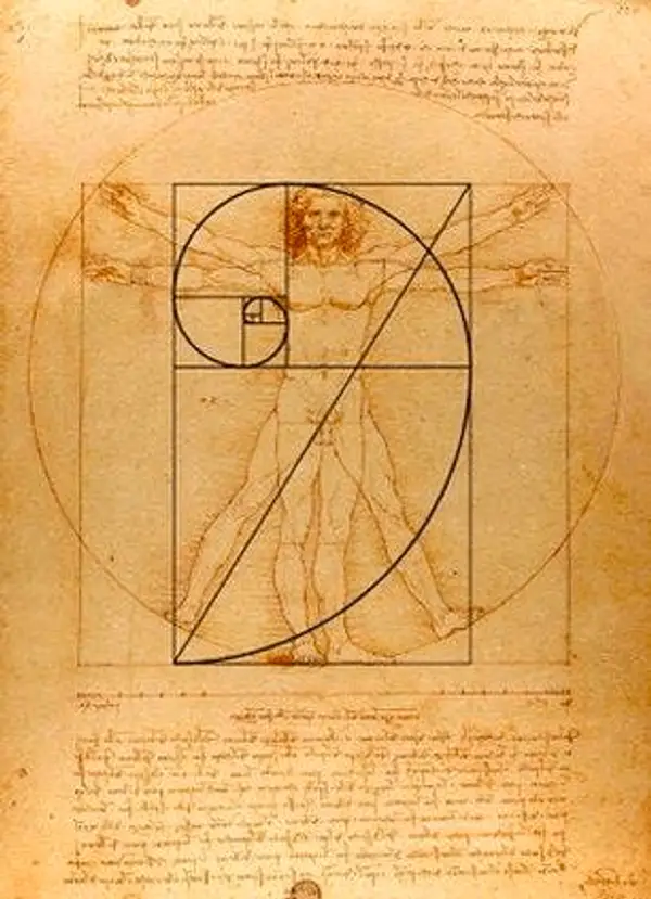 Leonardo DaVinci Fibonacci Sequence