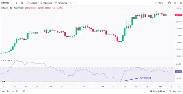 Bitcoin 1-Day Price Chart and RSI
