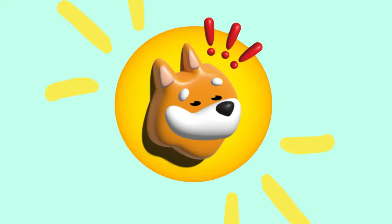 BONK Coin Insights: Past Performance and Price Forecast 2025 - Morpher