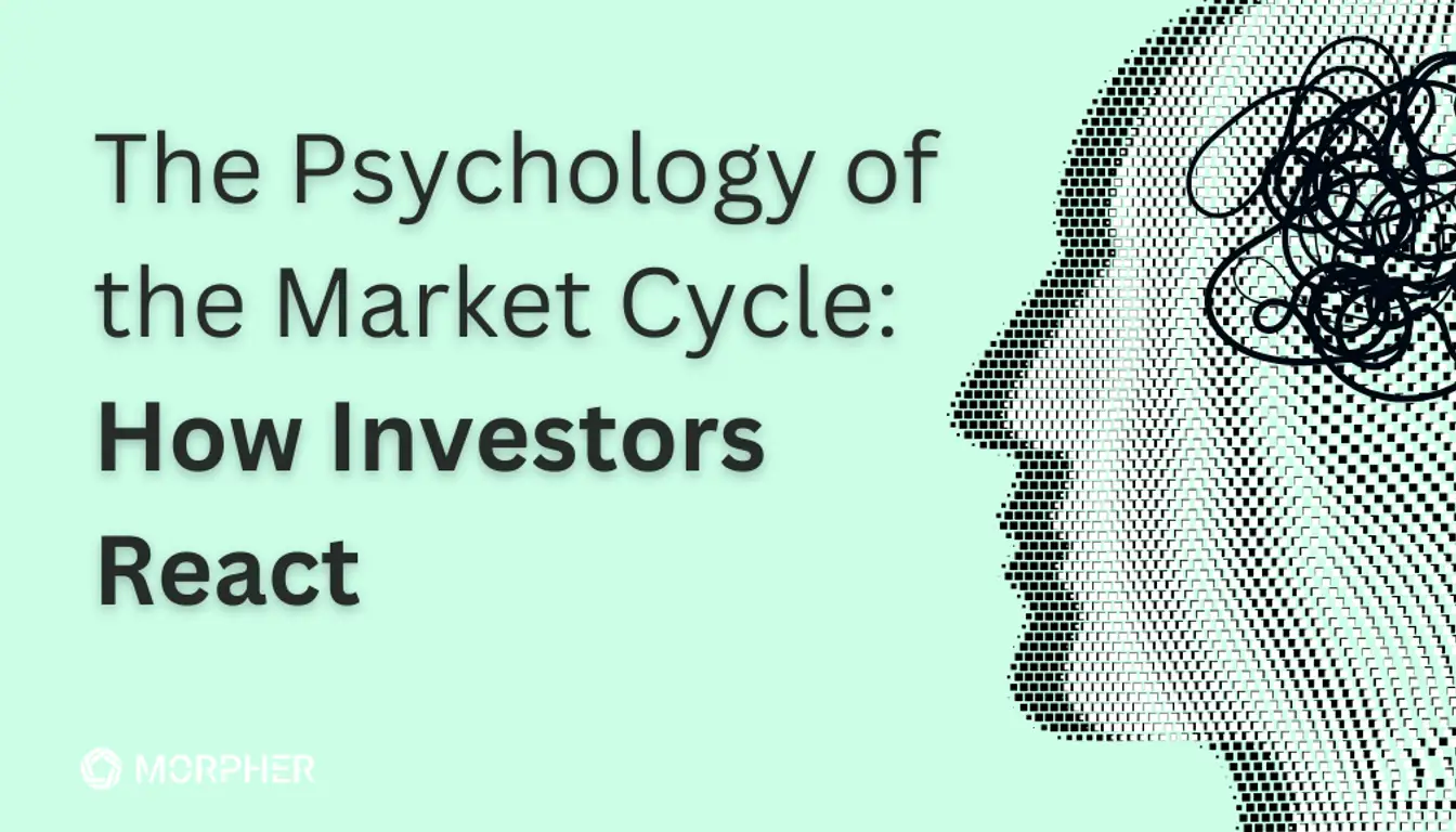 The Psychology of the Market Cycle: How Investors React - Morpher