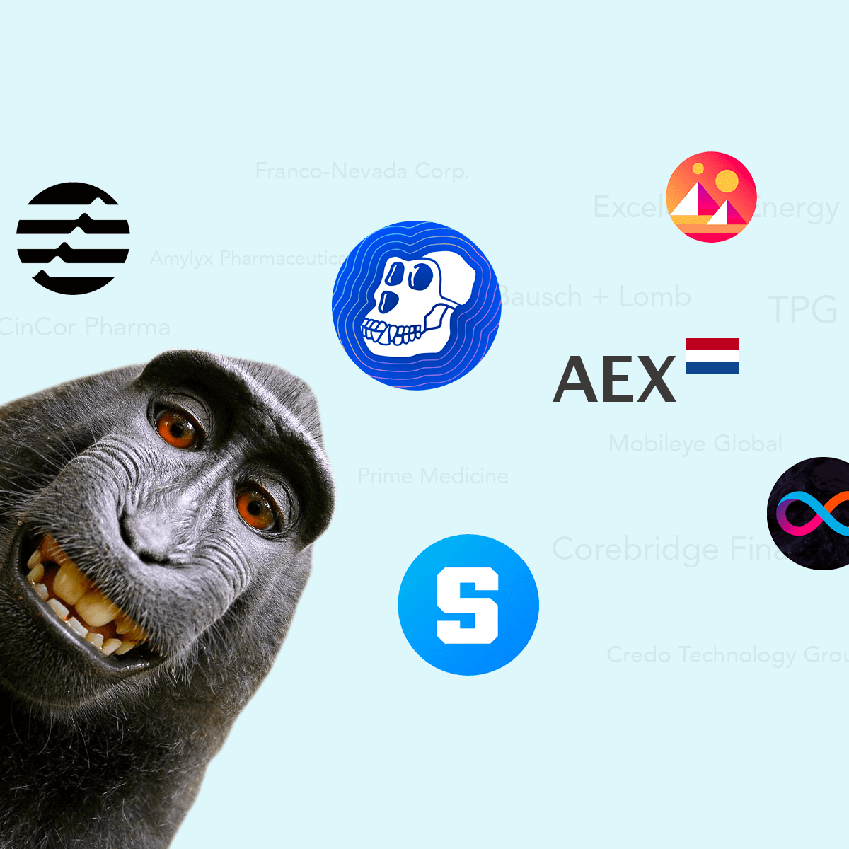 New markets on Morpher with company logos of APE, MANA, Sandbox, TPG and a smiling monkey.