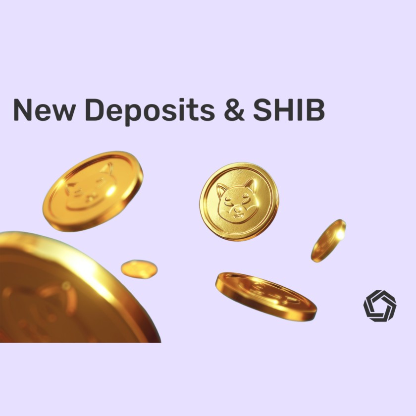 Shiba Inu 3d coins falling. New funding methods and SHIB on Morpher.